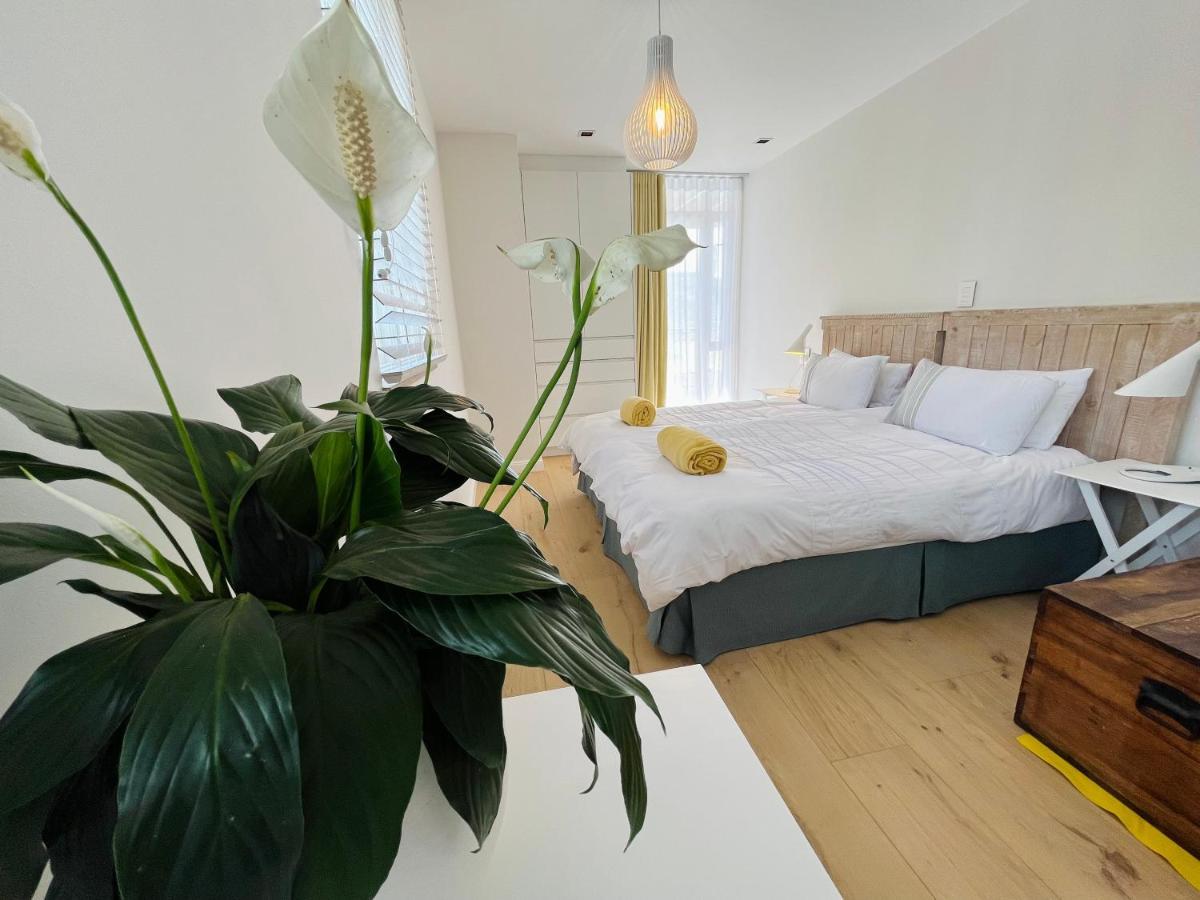 Moonshine - Two Bedroom House With Inverter Cape Town Dış mekan fotoğraf
